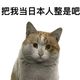 “难绷”表情图,绿色搞怪形象,尽显无奈又好笑的神态 表情包:把我当日本人整是吧表情包图片gif动图 - 求表情网,斗图从此不求人!