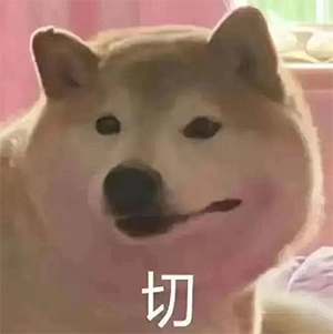 柴犬撇嘴配“切”字，尽显不屑嫌弃神态 高频使用的万能回复表情表情包图片gif动图 - 求表情网,斗图从此不求人!