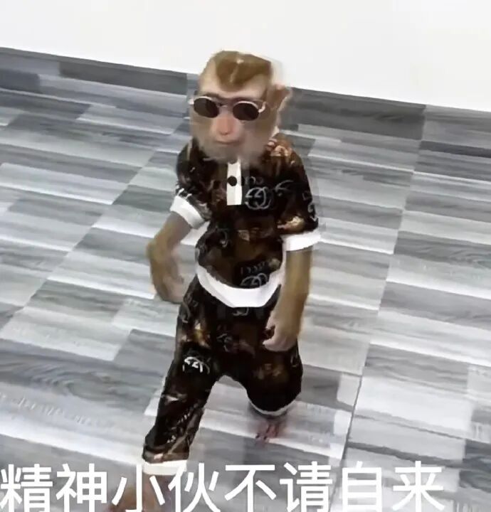 戴墨镜穿潮服的猴子,化身精神小伙不请自来 怼人表情包:少管我Meme GIF - MemeVerse, Never Lose a Meme ...
