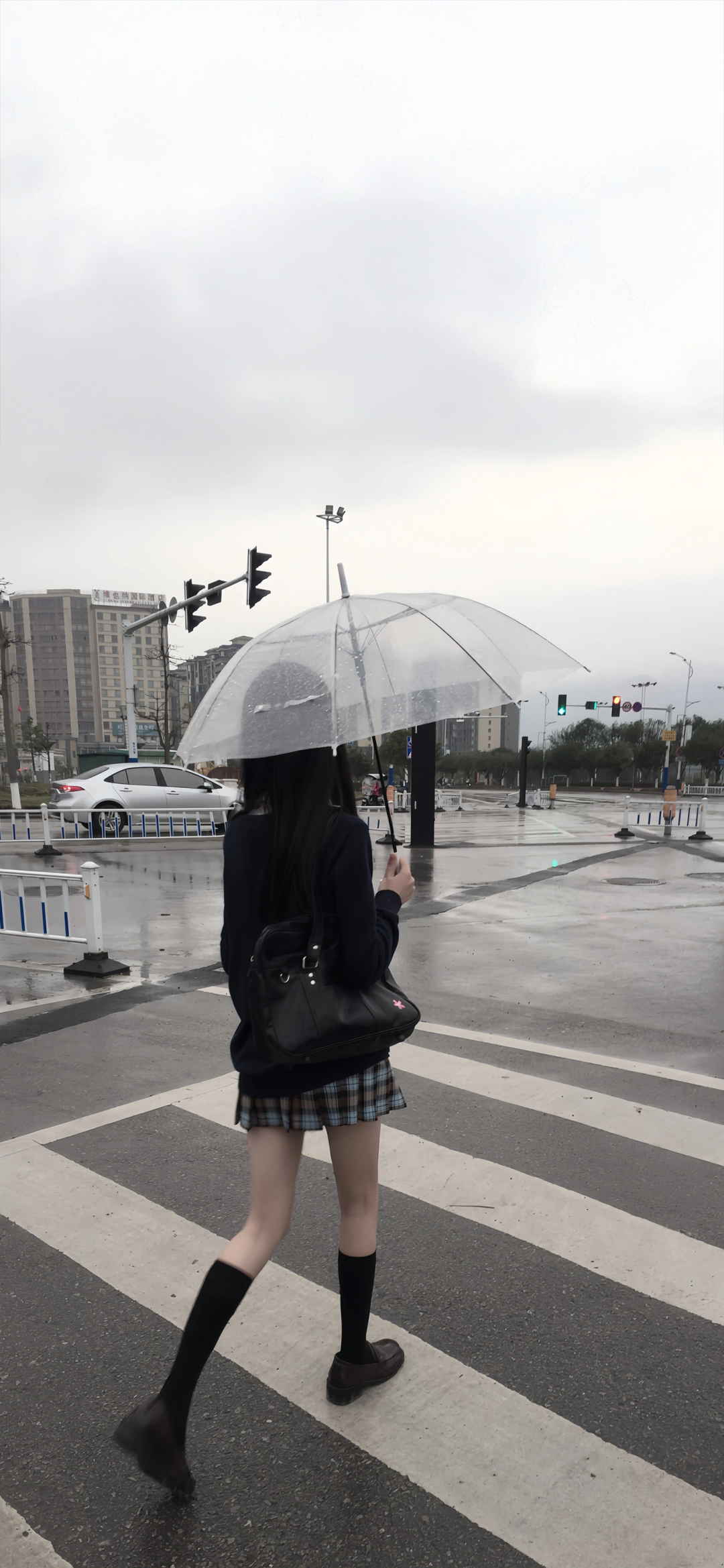 雨天JK少女撑透明伞，穿过城市斑马线 手机壁纸｜iOS全屏高清壁纸表情包图片gif动图 - 求表情网,斗图从此不求人!