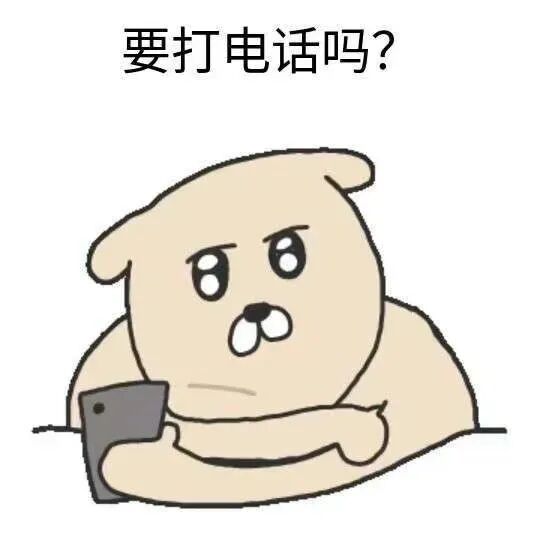 小狗抱手机,疑惑询问“要打电话吗?” 夸人的狗狗表情包表情包图片gif动图 - 求表情网,斗图从此不求人!