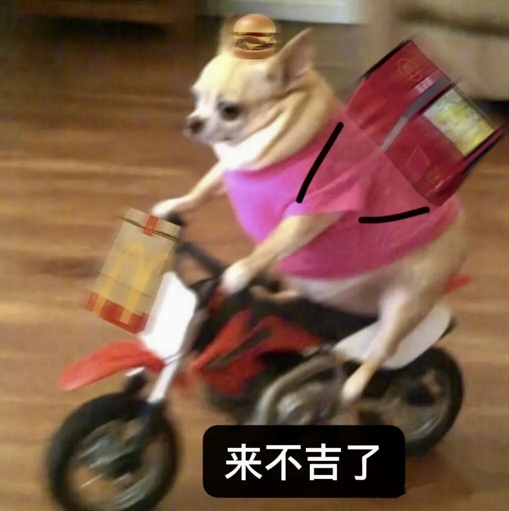 吉娃娃骑摩托送麦当劳,头顶汉堡“来不吉了” 表情包:我有吉事先走了表情包图片gif动图 - 求表情网,斗图从此不求人!