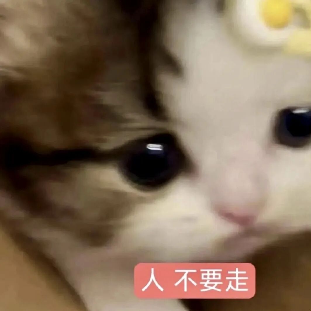 委屈小猫眼神巴巴 配文“人不要走”恳切挽留 表情包:我有吉事先走了Sticker GIF - Seeking an emoji network ...