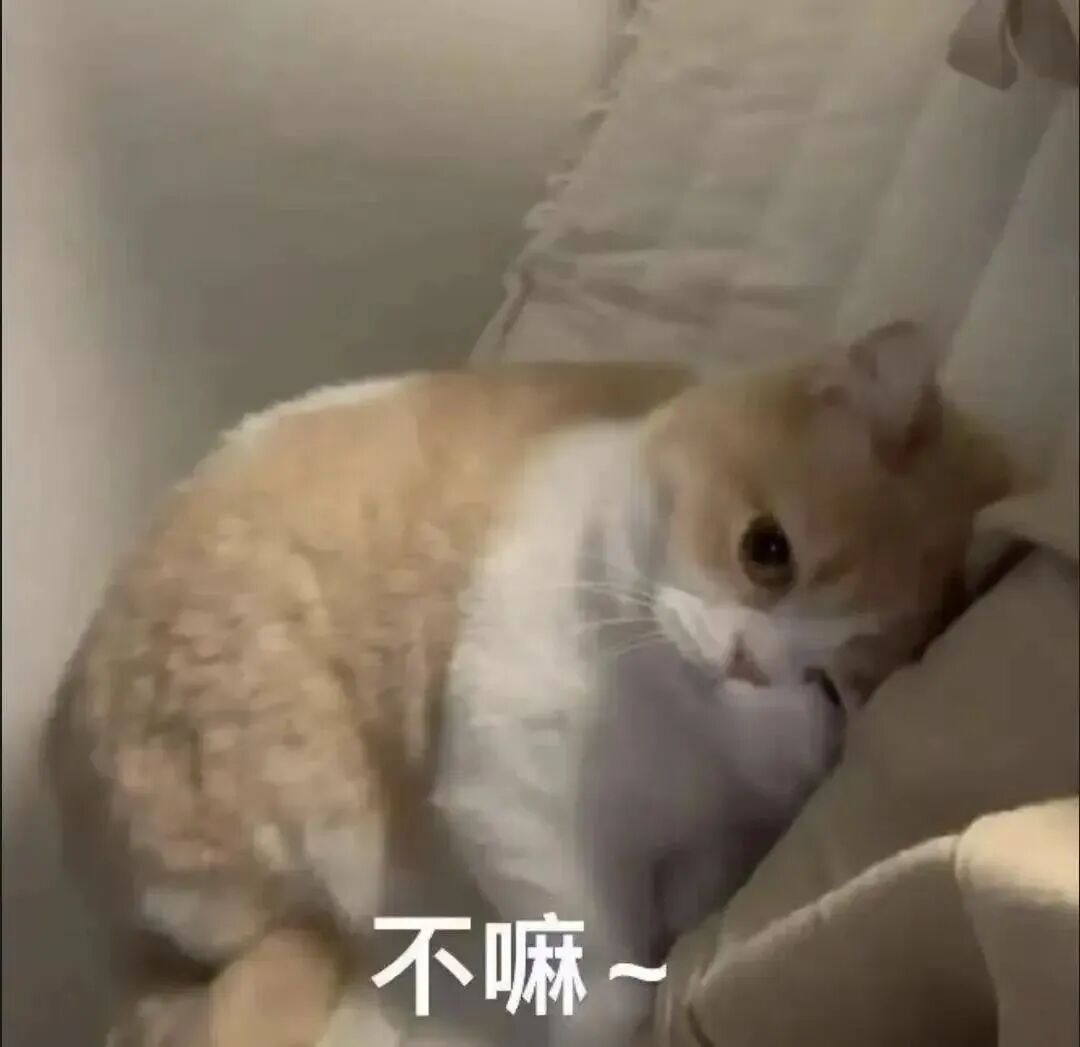 橘白猫咪委屈撒娇,“不嘛~”尽显娇憨抗拒 【单身勿进】猫咪恋爱表情包 撩汉攻略 丨 今天也超想你!表情包图片gif动图 - 求表情网,斗图从此不求人!