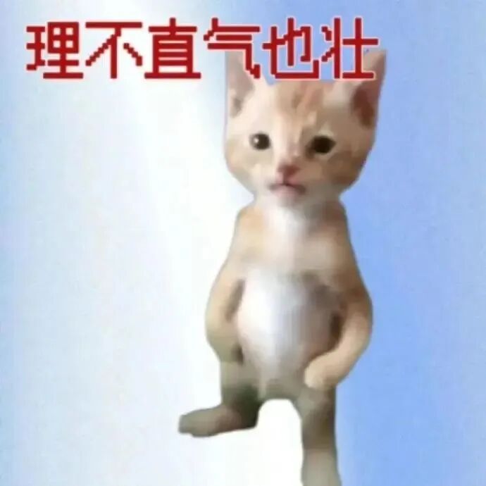 理不直气也壮 站立小猫强装理直气壮 表情包|要超级大抱抱Meme GIF - MemeVerse, Never Lose a Meme ...