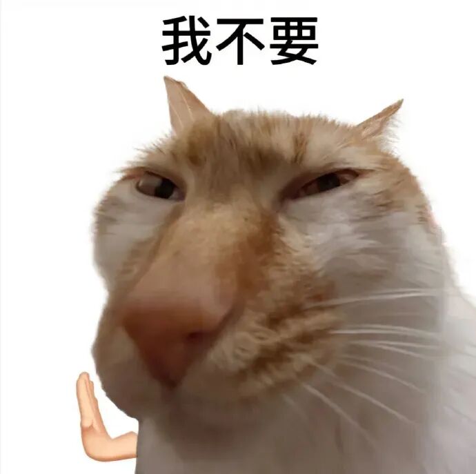大脸猫摆手配“我不要”,嫌弃拒绝超形象 猫咪偷吃东西表情包表情包图片gif动图 - 求表情网,斗图从此不求人!