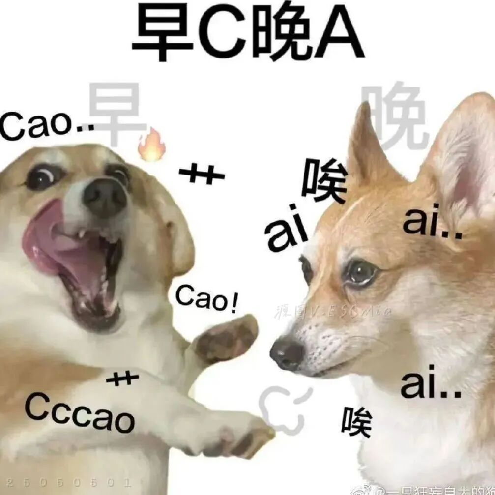 早C晚A!狗狗一早亢奋喊Cao,夜晚叹气唉声不停 超火的表情包 | 抽象搞笑表情包图片gif动图 - 求表情网,斗图从此不求人!