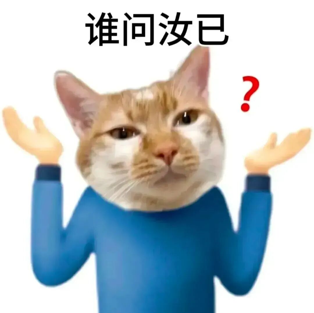 猫脸人身摊手带问号,配“谁问汝已”反问疑惑 超火的表情包 | 抽象搞笑表情包图片gif动图 - 求表情网,斗图从此不求人!