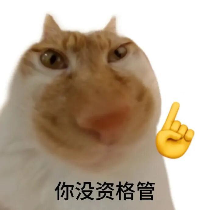 猫咪竖指强硬怼人:你没资格管 讨坏型人格小猫表情包Meme GIF - MemeVerse, Never Lose a Meme Battle ...