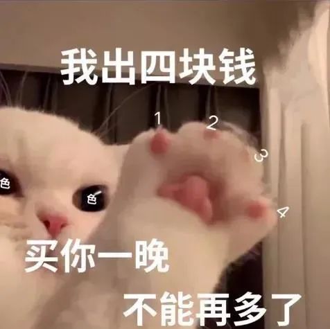 白猫色眼伸四爪,出四块钱买你一晚,不能再多 表情包|猫猫的啃腚表情包图片gif动图 - 求表情网,斗图从此不求人!