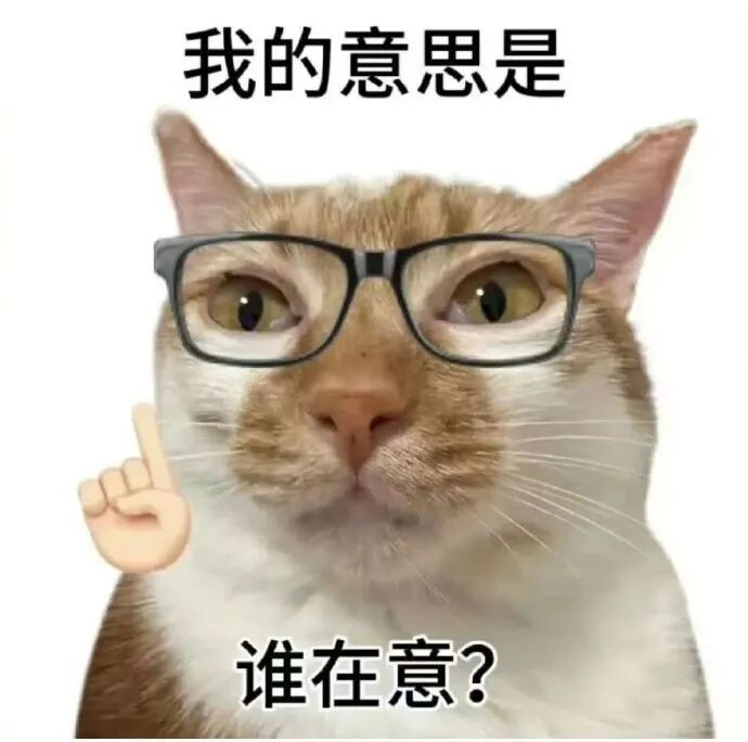 眼镜猫抬手指反问:我的意思是,谁在意? 猫咪表情包 | 讨坏型人格表情包表情包图片gif动图 - 求表情网,斗图从此不求人!