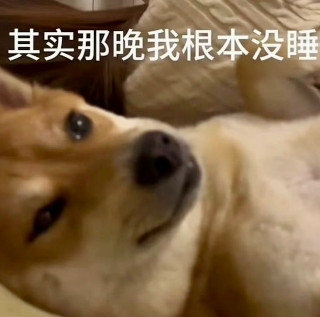 柴犬心虚躺卧 配文“其实那晚我根本没睡” 淡淡的疯感表情包表情包图片gif动图 - 求表情网,斗图从此不求人!
