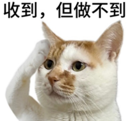 敬礼猫咪无奈表态:收到,但做不到 表情包|你的文字我心疼表情包图片gif动图 - 求表情网,斗图从此不求人!