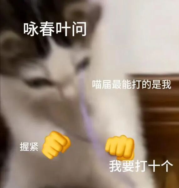 叶问表情包表情包图片 - 求表情网,斗图从此不求人!