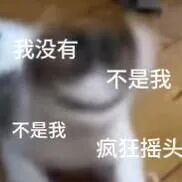 猫咪疯狂摇头甩锅,连喊“我没有不是我” 邪恶小鼻嘎表情包Meme GIF - MemeVerse, Never Lose a Meme ...