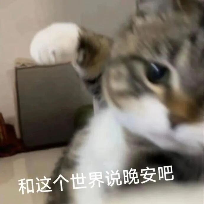 猫咪抬手,配文“和这个世界说晚安吧” 超级可爱且抽象的猫猫表情包 表情包图片gif动图 - 求表情网,斗图从此不求人!