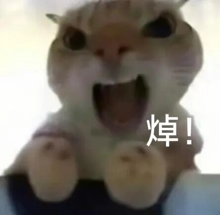 激愤小仓鼠张嘴怒吼“焯!” 小猫配文字表情包 | 猫咪表情包Sticker GIF - Seeking an emoji network ...
