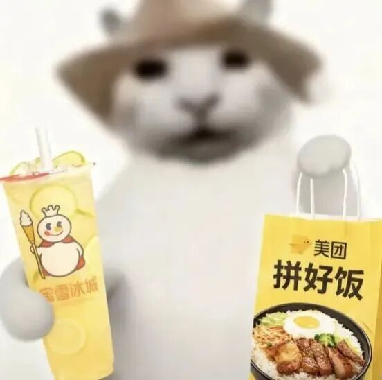 戴帽萌猫持蜜雪冰城,提美团拼好饭安利美食饮品 表情包|美团拼好饭外卖表情包合集表情包图片gif动图 - 求表情网,斗图从此不求人!