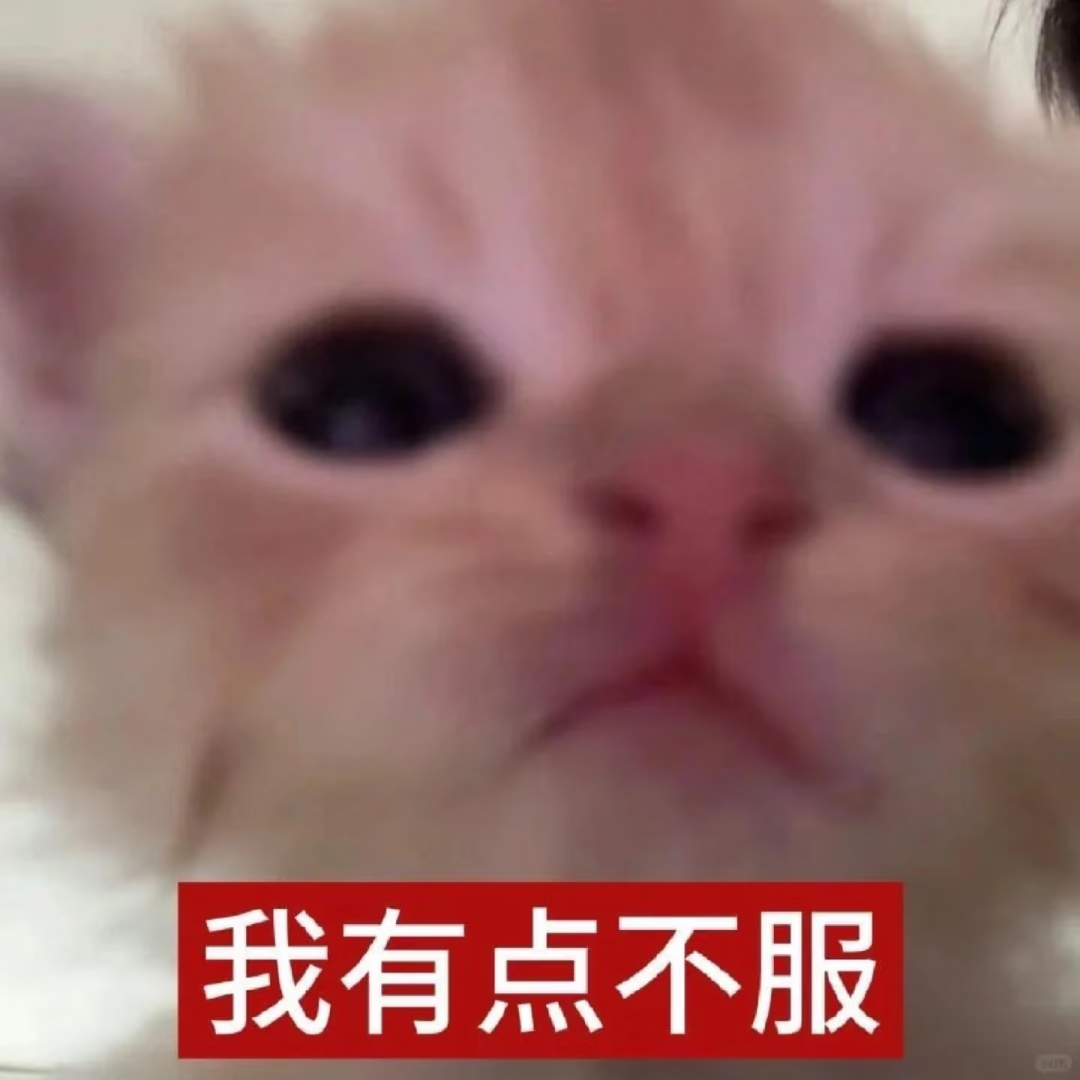 委屈脸小猫配文“我有点不服”,不服气小表情 一些很难拒绝的表情包表情包图片gif动图 - 求表情网,斗图从此不求人!