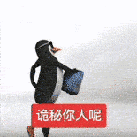 背书包企鹅喊“诶秘你人呢” 俏皮寻人 企鹅跳舞动态表情包2.0表情包图片gif动图 - 求表情网,斗图从此不求人!