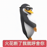 酷企鹅戴眼镜放话:火花断了我就呼舍你 企鹅跳舞动态表情包2.0表情包图片gif动图 - 求表情网,斗图从此不求人!