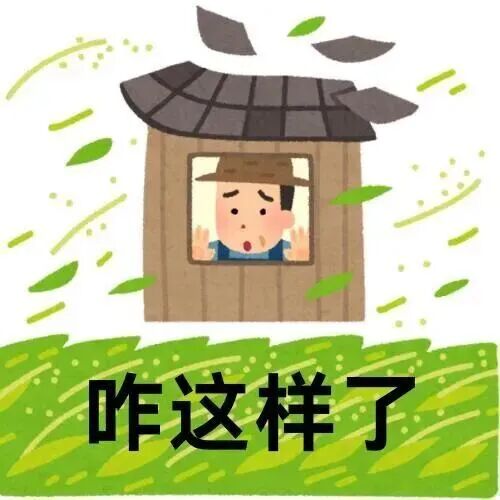 大风掀瓦树叶飞,屋内人惊问咋这样了 方言版河南表情包Meme GIF - MemeVerse, Never Lose a Meme ...