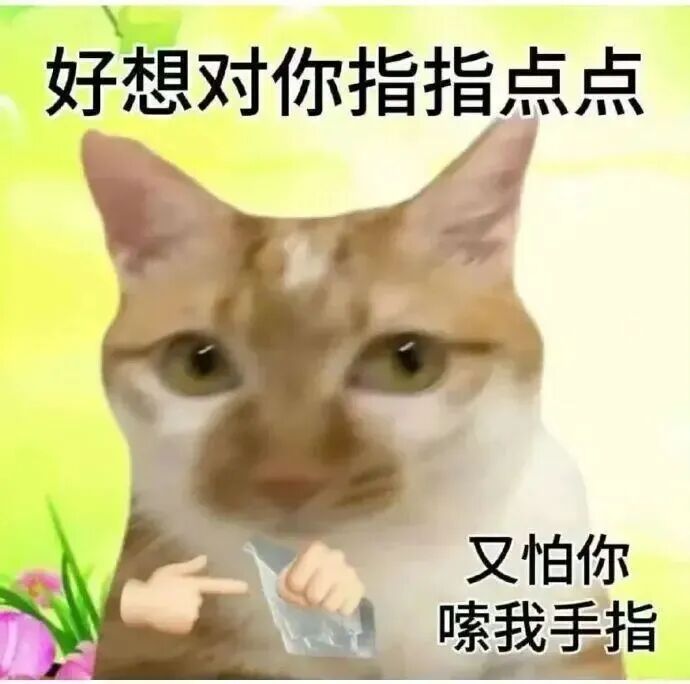 想指点又怕被嗦手指的纠结猫咪 文字版抽象猫meme表情包表情包图片gif动图 - 求表情网,斗图从此不求人!