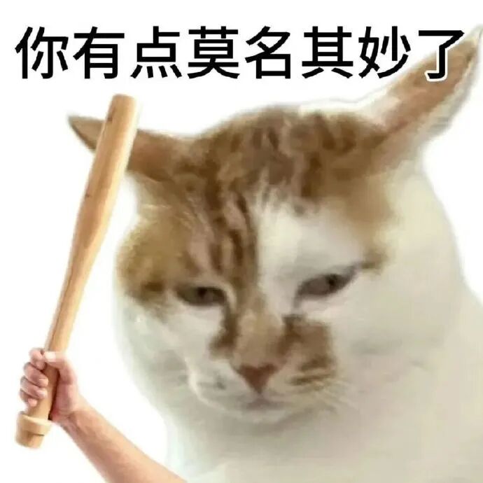 举棒球棍的猫咪嫌弃道:你有点莫名其妙了 文字版抽象猫meme表情包表情包图片gif动图 - 求表情网,斗图从此不求人!