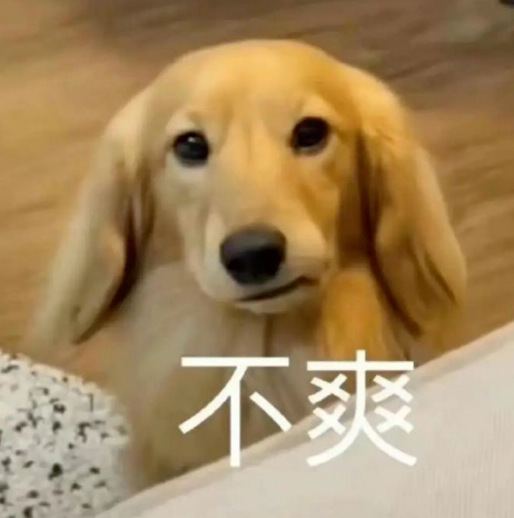 金毛小狗面露不爽,委屈烦躁的可爱小模样 表情包:是兄弟就V我50表情包图片gif动图 - 求表情网,斗图从此不求人!