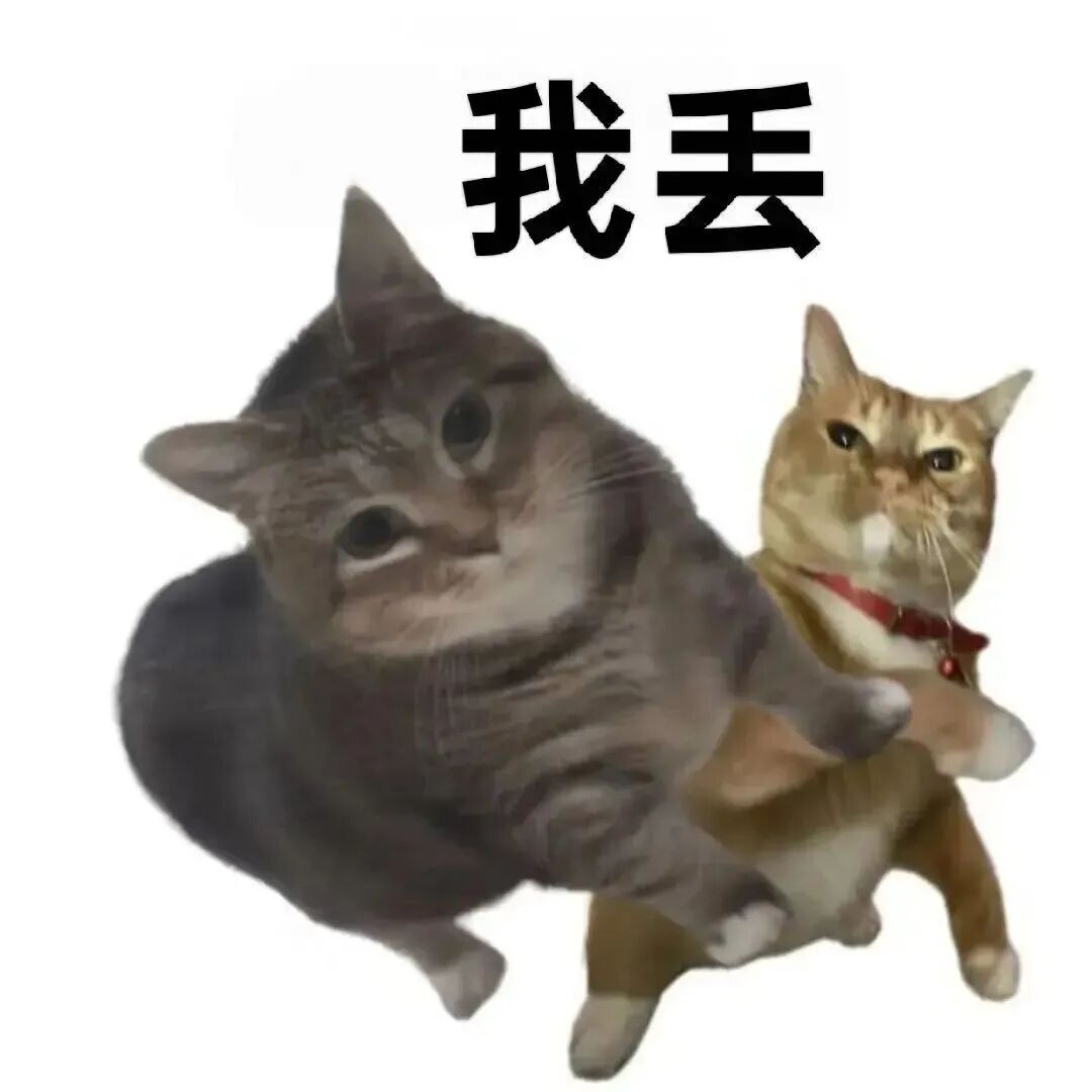 两只猫咪搞怪互动,“我丢”文字趣味吐槽 表情包|行 求也得排队表情包图片gif动图 - 求表情网,斗图从此不求人!
