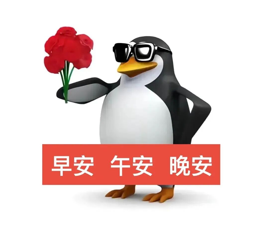 酷企鹅持红花 送你早安午安晚安 表情包|邪恶企鹅表情包新合集表情包图片gif动图 - 求表情网,斗图从此不求人!
