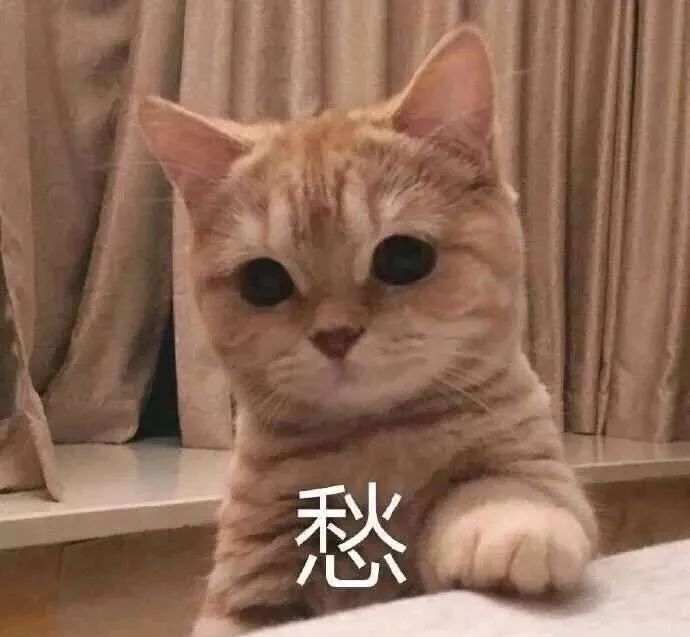 橘猫带“愁”字,眼神忧郁尽显惆怅模样 笑到缺氧得表情包!表情包图片gif动图 - 求表情网,斗图从此不求人!