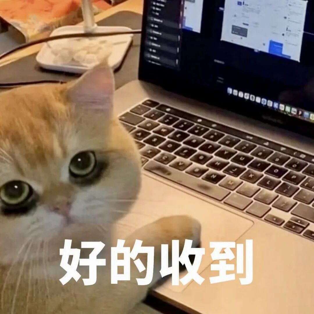 橘猫在电脑前乖巧回复“好的收到” 表情包:我喜欢你表情包图片gif动图 - 求表情网,斗图从此不求人!