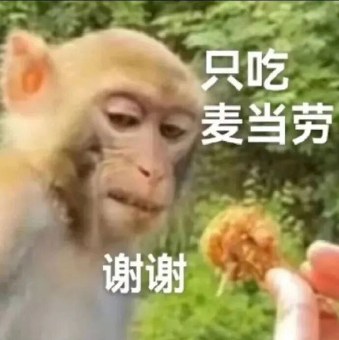 猴子面对递来的食物,礼貌表示:只吃麦当劳,谢谢 吗喽表情包:咋了 姐妹!表情包图片gif动图 - 求表情网,斗图从此不求人!