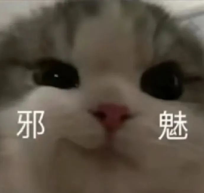 邪魅一笑表情包图片 - 求表情网,斗图从此不求人!