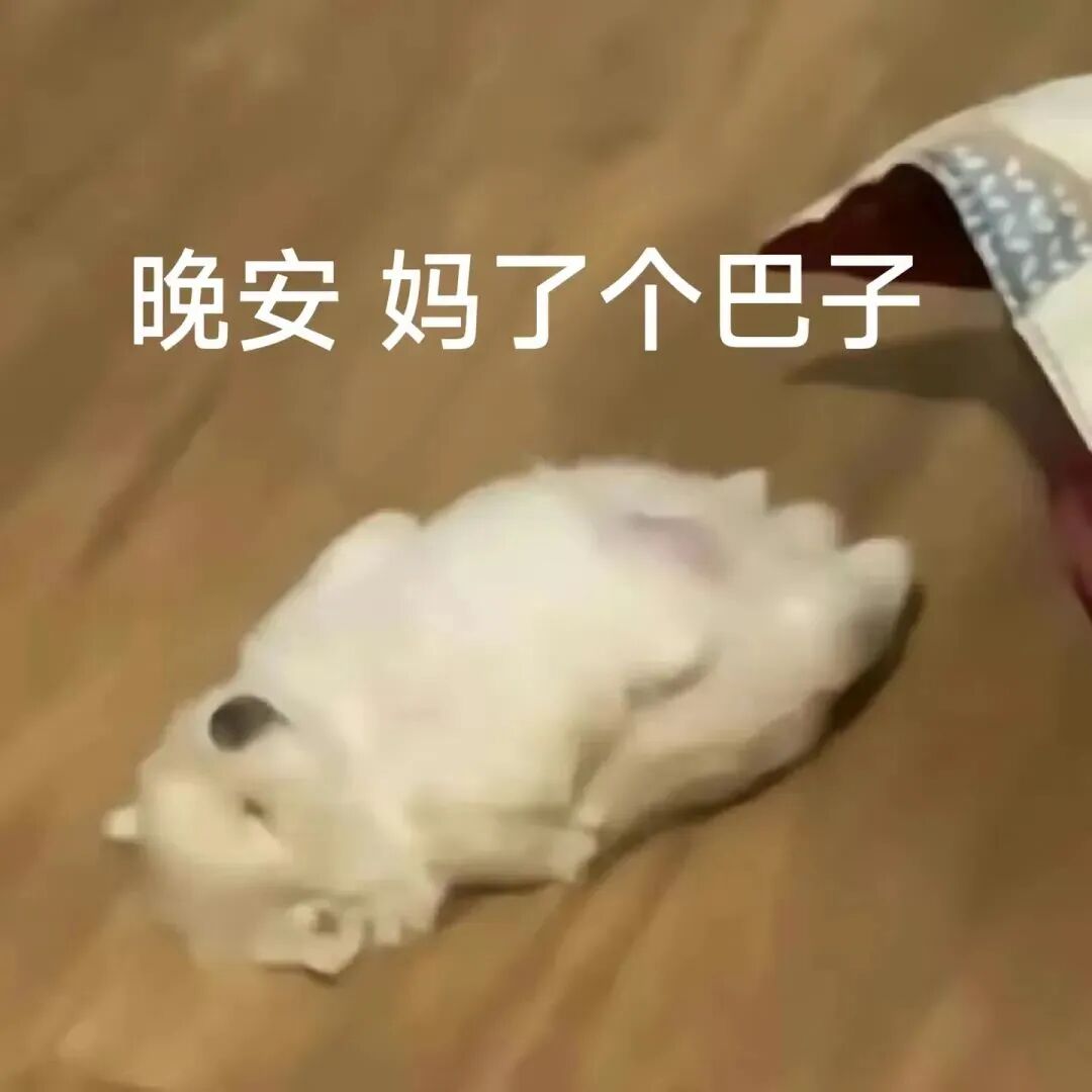 白色小狗瘫卧木地板,配“晚安妈了个巴子”暴躁晚安文案 表情包|信不信我放屁崩死你表情包图片gif动图 - 求表情网,斗图从此不求人!
