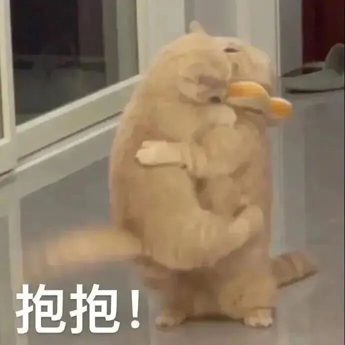 胖橘相拥求抱抱,配文“抱抱!”超可爱 表情包:对 我干的表情包图片gif动图 - 求表情网,斗图从此不求人!