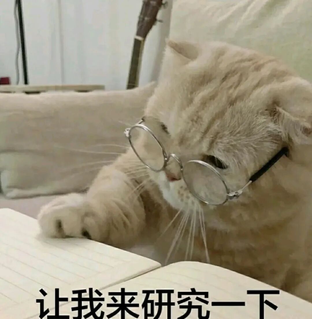 戴眼镜的猫咪专注研究笔记本，配文“让我来研究一下” 表情包:泥个红蛋表情包图片gif动图 - 求表情网,斗图从此不求人!
