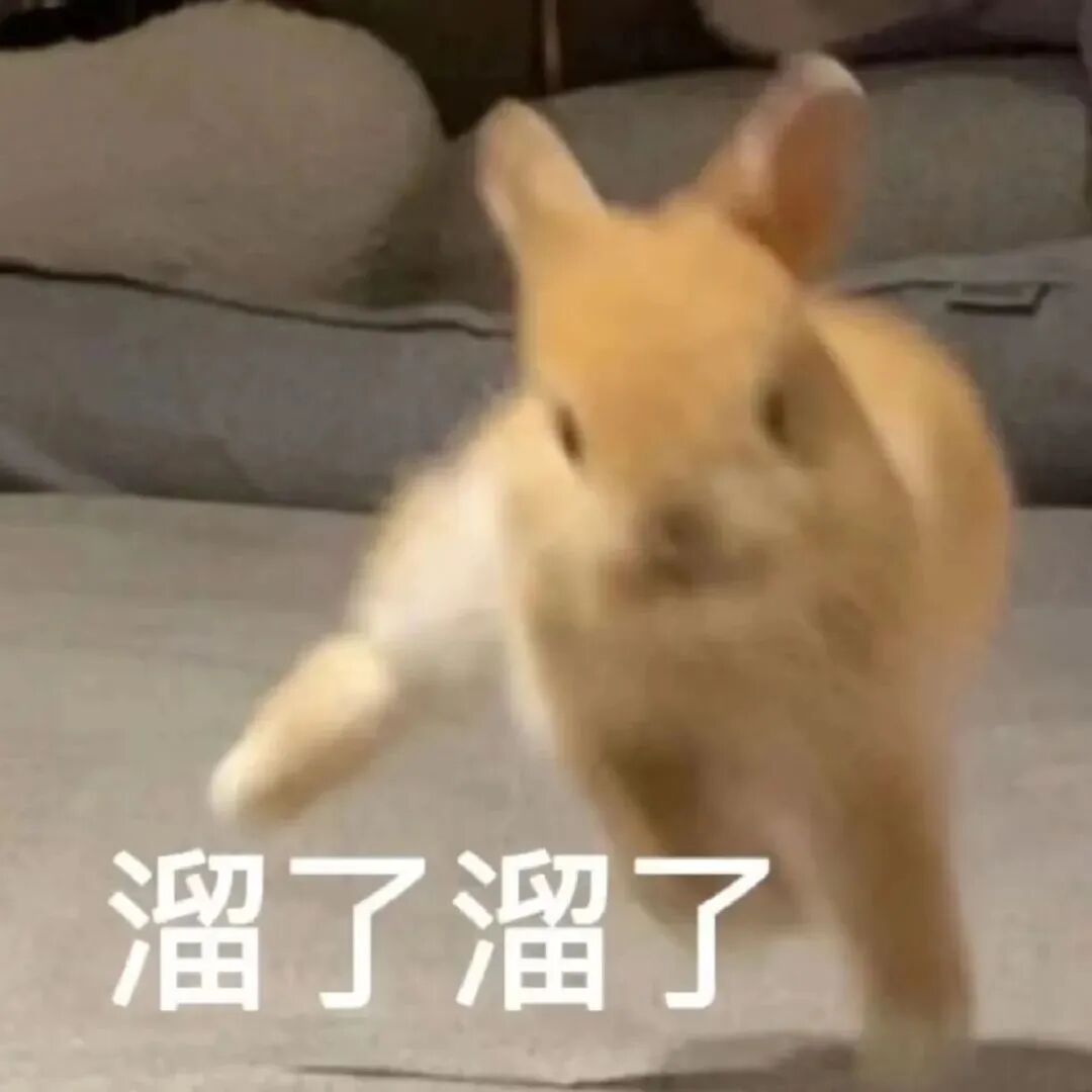 小黄兔急跑配“溜了溜了”,可爱逃跑表情包 表情包|今晚就要拿下他!表情包图片gif动图 - 求表情网,斗图从此不求人!