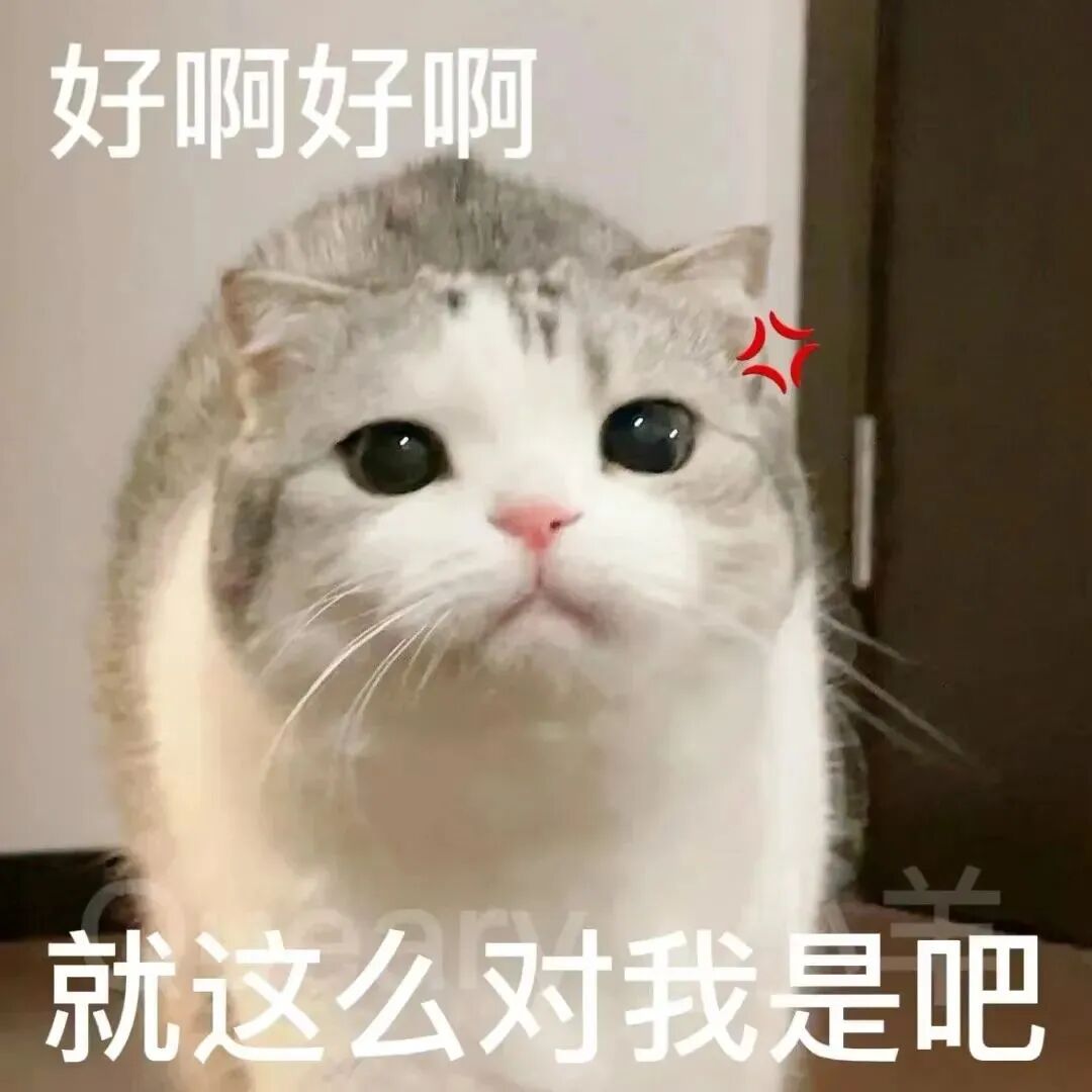 气鼓鼓猫咪假答应,文字“好啊好啊就这么对我是吧” 表情包|今晚就要拿下他!表情包图片gif动图 - 求表情网,斗图从此不求人!
