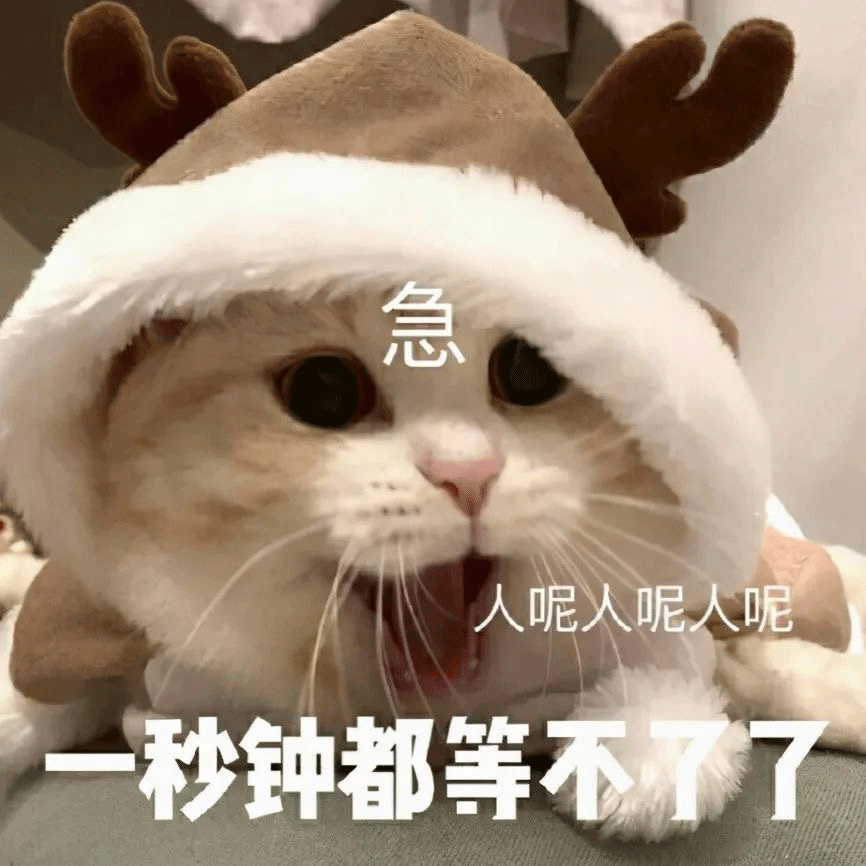 戴鹿角帽的猫咪急喊人呢，一秒钟都等不了啦 一键领取你的表情包！表情包图片gif动图 - 求表情网,斗图从此不求人!