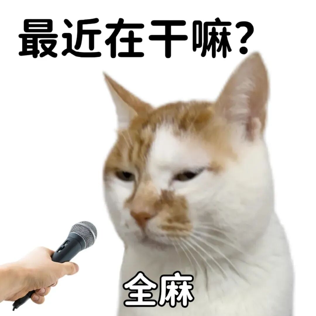 采访猫猫“最近干嘛”，神回复“全麻”玩谐音梗 已读乱回小猫表情包Sticker GIF - Seeking an emoji network ...