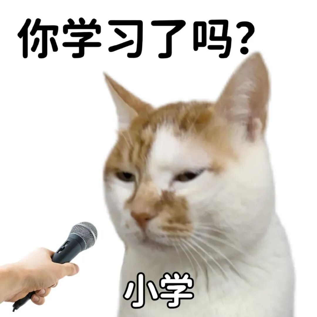 采访小学猫咪,灵魂发问:你学习了吗? 已读乱回小猫表情包表情包图片gif动图 - 求表情网,斗图从此不求人!