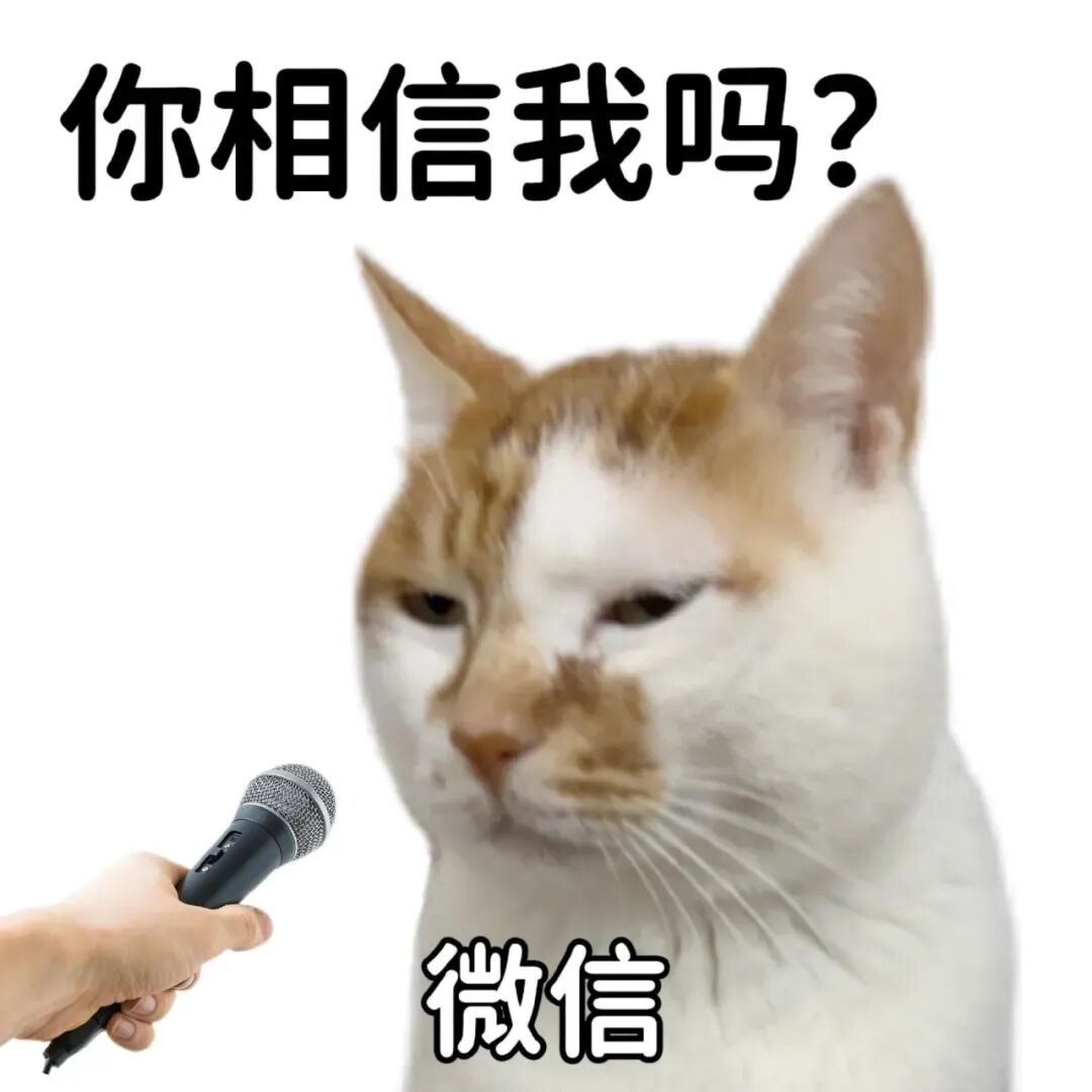 微信猫被采访,询问“你相信我吗” 已读乱回小猫表情包表情包图片gif动图 - 求表情网,斗图从此不求人!