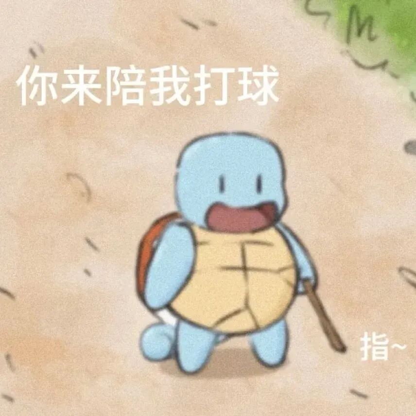 拄拐杰尼龟指你:你来陪我打球~ 专用羽毛球人表情包表情包图片gif动图 - 求表情网,斗图从此不求人!