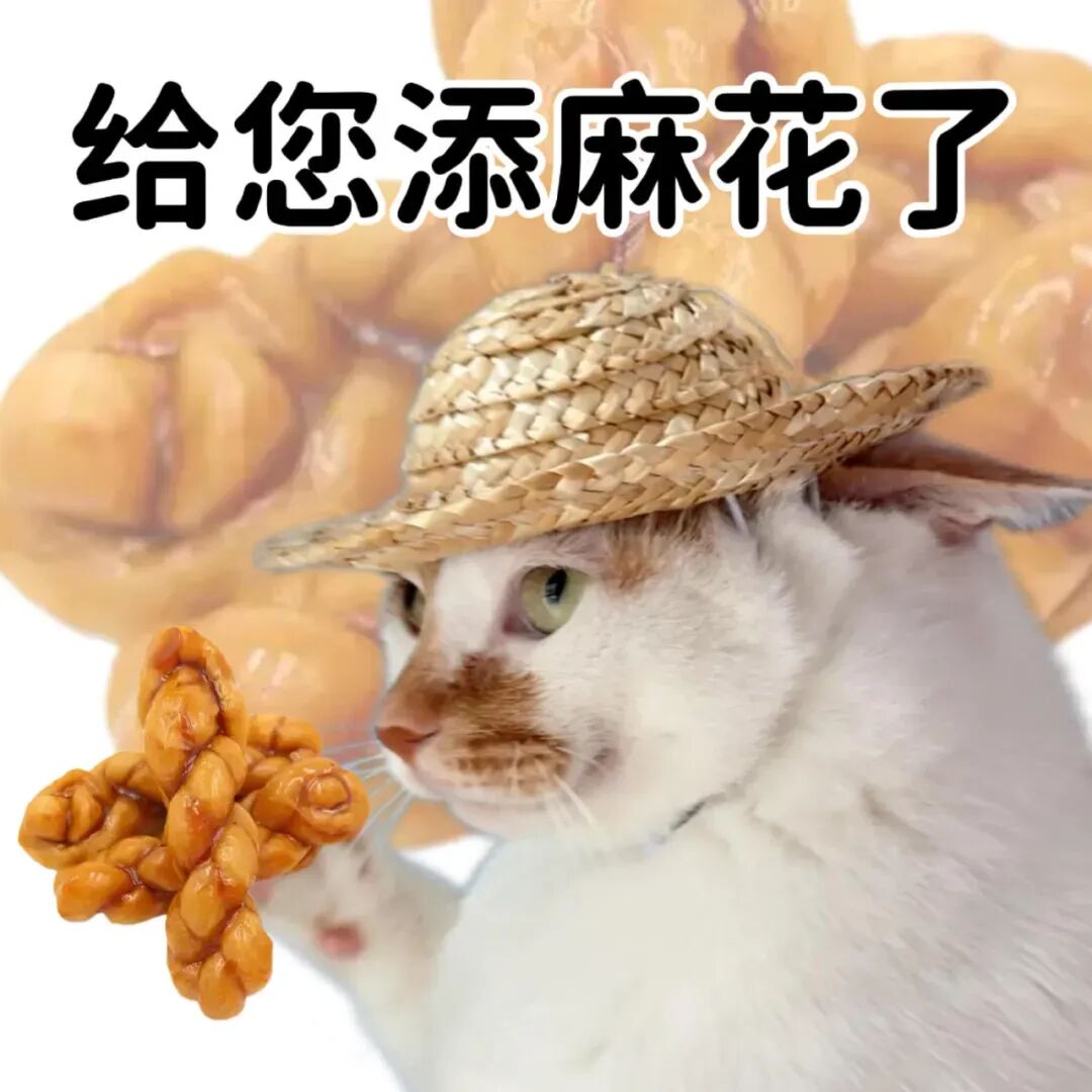 举豹了!健身造型举豹子,谐音“举报了”玩梗 真的很爱谐音梗表情包~ 表情包图片gif动图 - 求表情网,斗图从此不求人!