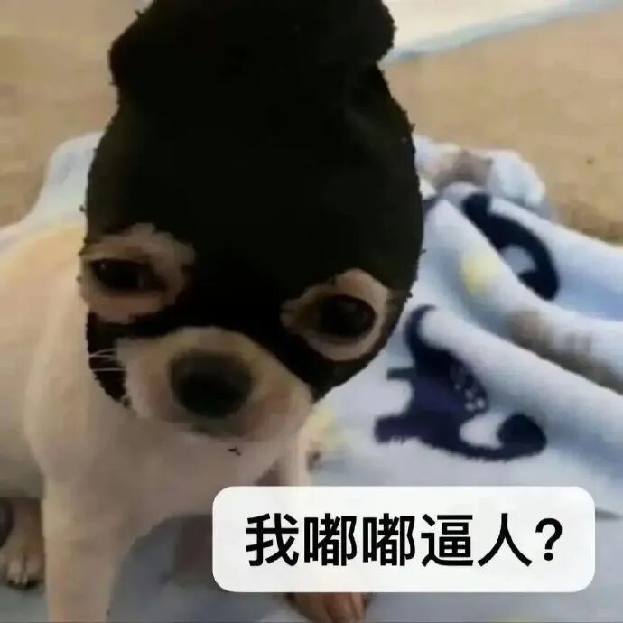 戴黑面罩小狗委屈反问:我嘟嘟逼人? 表情包:你落一滴泪 我屠一座城表情包图片gif动图 - 求表情网,斗图从此不求人!