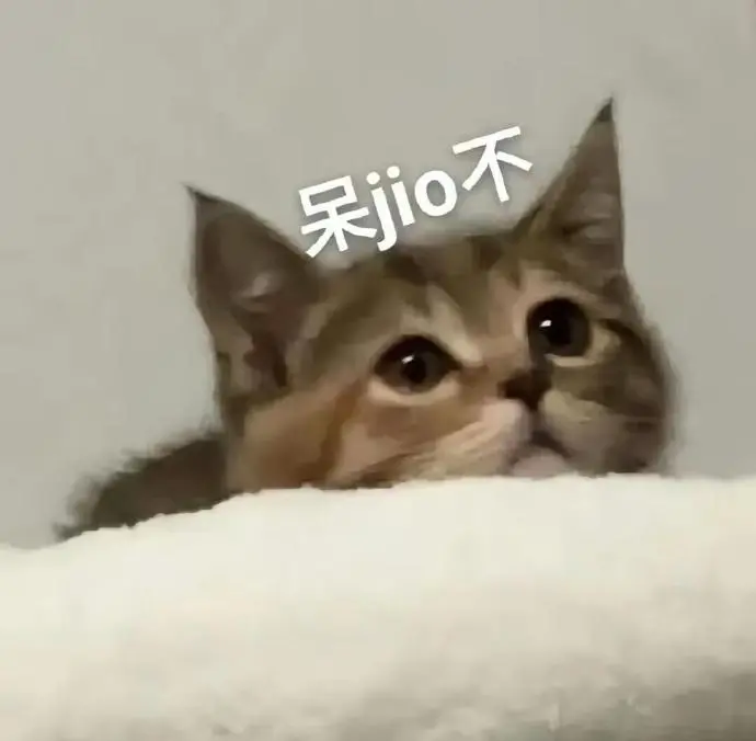 呆萌小猫探头，配“呆jio不”文字，可爱疑惑表情包 猫meme表情包 | 猫咪表情包表情包图片gif动图 - 求表情网,斗图从此不求人!