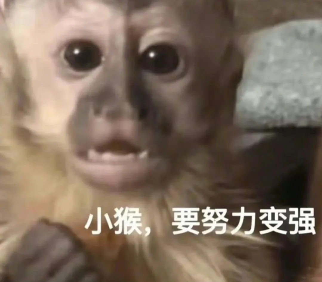 小猴握拳表决心 励志努力变强 吗喽表情包 | 小猴,要努力变强表情包图片gif动图 - 求表情网,斗图从此不求人!
