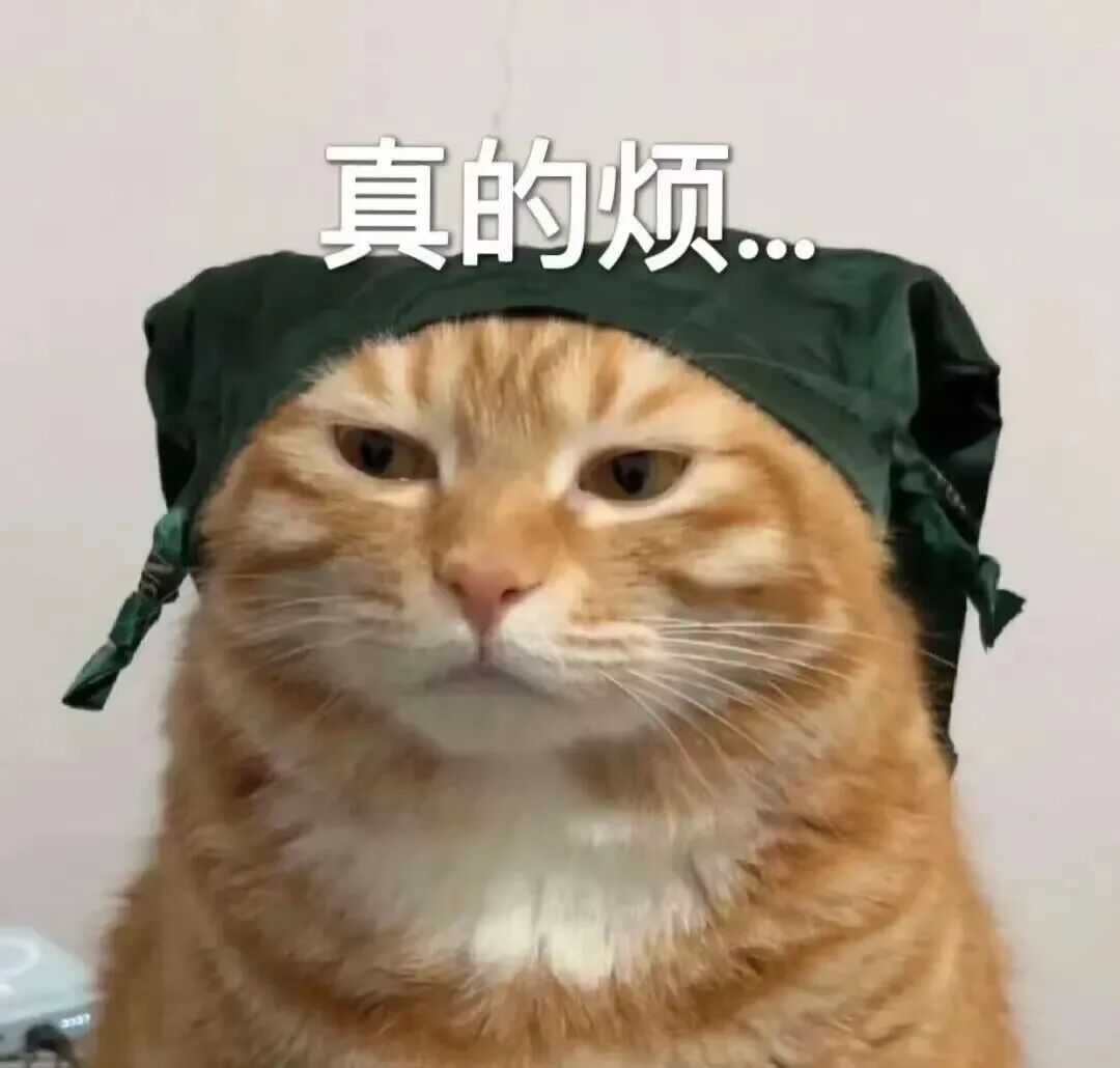 烦躁橘猫戴绿帽 配文真的烦 表情包:真的烦表情包图片gif动图 - 求表情网,斗图从此不求人!